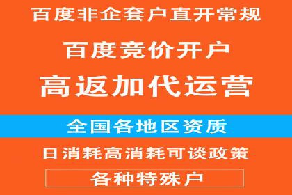 行业领先企业的SEM竞价代运营案例解析